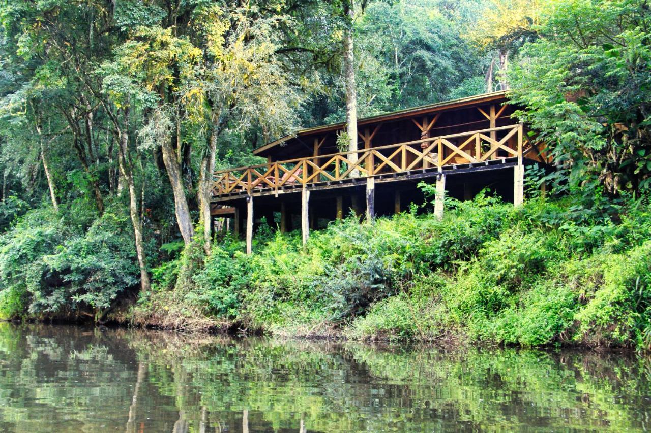 Margay - Reserva Natural Y Lodge De Selva El Soberbio Kültér fotó